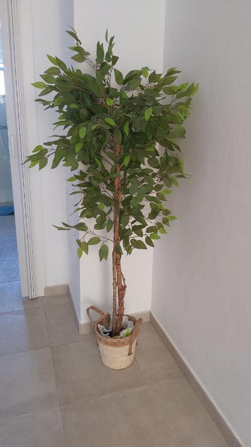 Pozo IzquierdoLa Casa Del Mar别墅 外观 照片